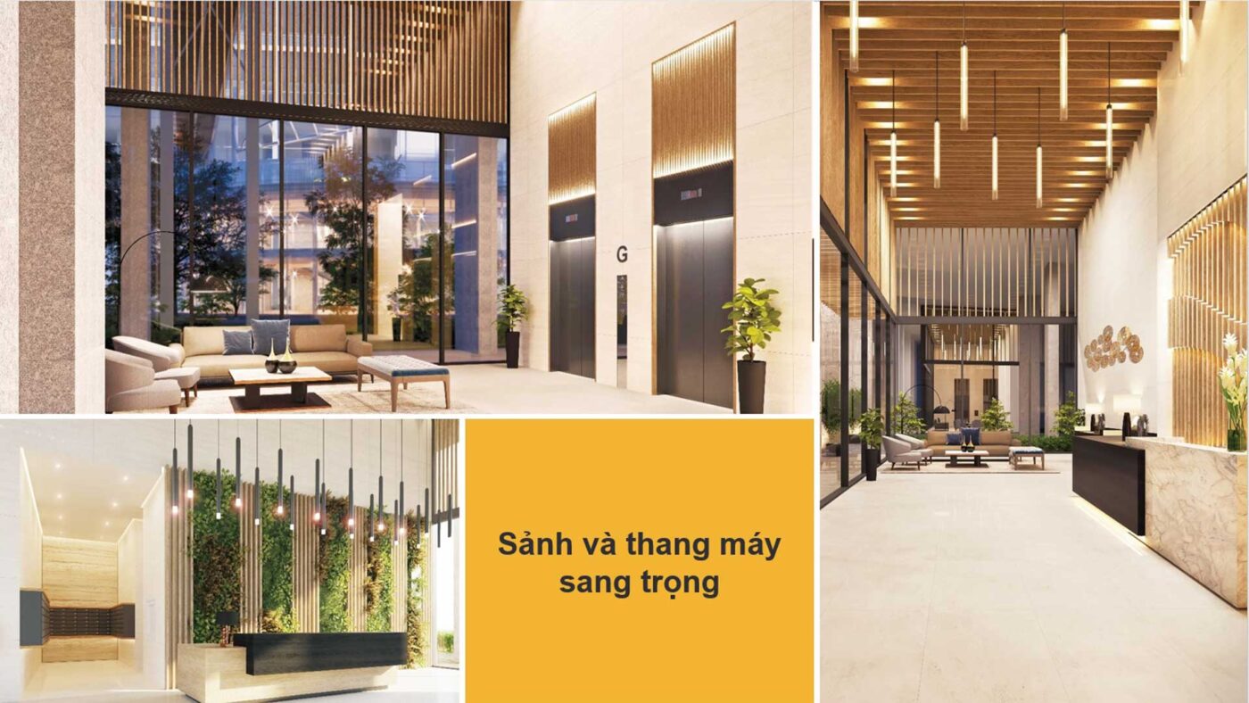 Mặt bằng The Signature Midtown